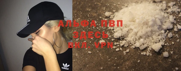 стафф Алзамай