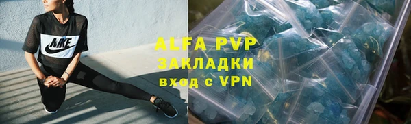 стафф Алзамай