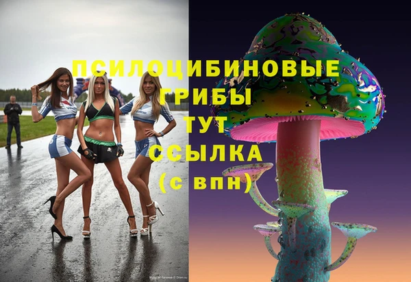 стафф Алзамай