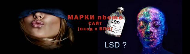 стафф Алзамай