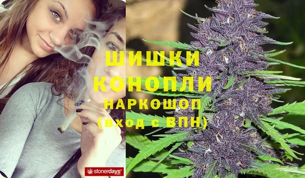 стафф Алзамай