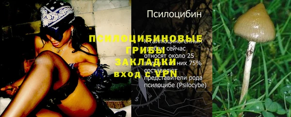 стафф Алзамай