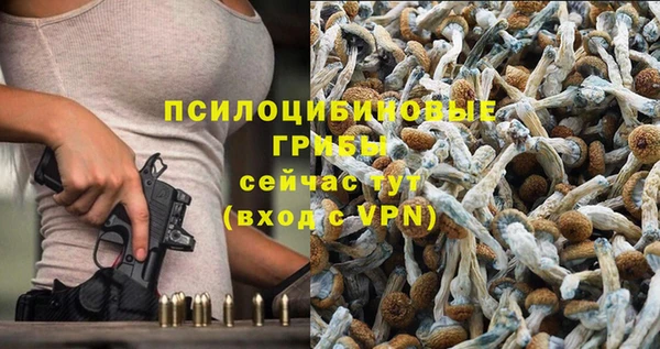 стафф Алзамай