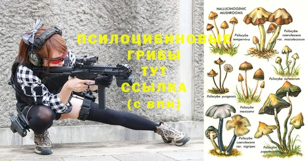 стафф Алзамай
